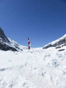 Athabasca Glacier, Louise Kenward 2014